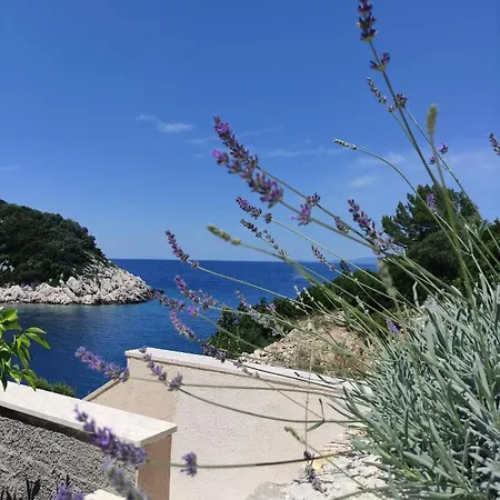 Lesic Zaklopatica Apartmán